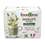 Matcha\u0020Latte\u0020cu\u0020ginseng\u0020