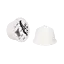 Lapte
